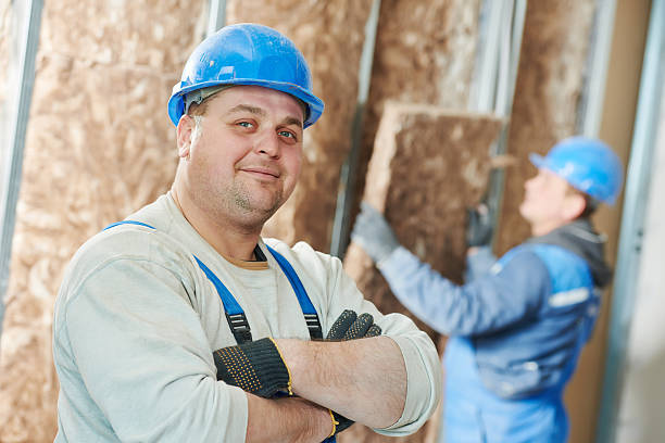 Best Insulation Replacement Services  in Washington, WV