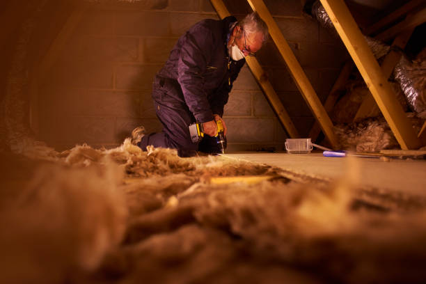 Best Residential Insulation Services  in Washington, WV